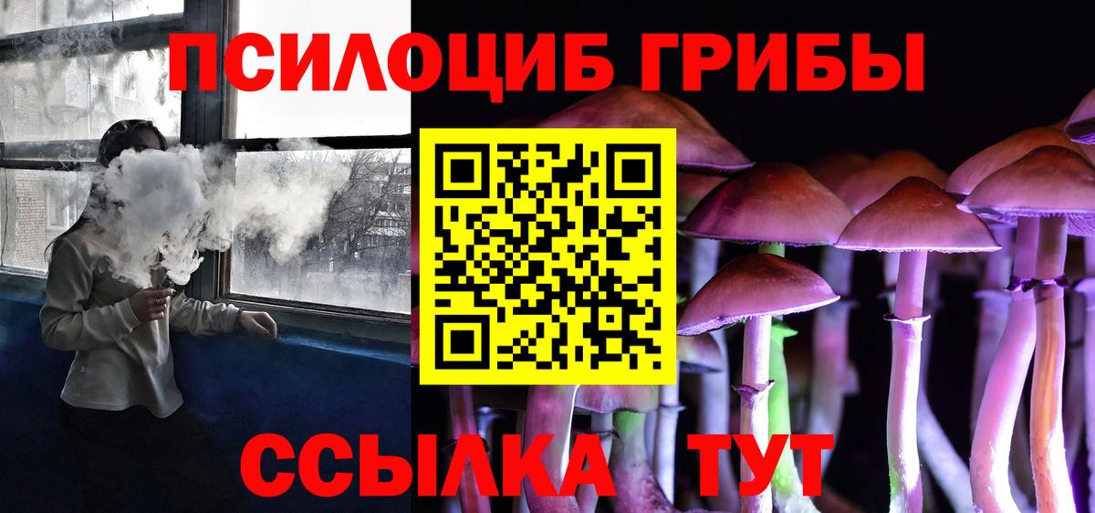 Галлюциногенные грибы Psilocybe Воткинск
